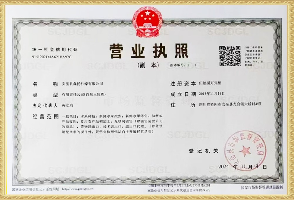 Business registration license